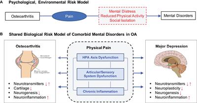 Cross-Disorder Genomics Data Analysis Elucidates a Shared Genetic Basis Between Major Depression and Osteoarthritis Pain